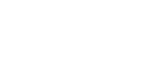 Logo Protiviti pro